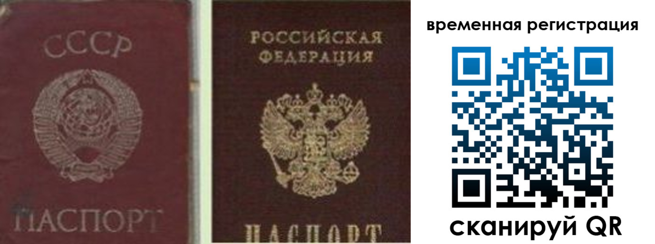 найти адрес прописки в Заринске